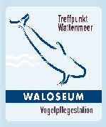 RZ-Logo-Walx